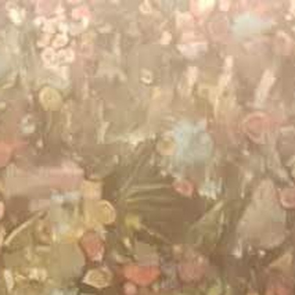 Meet your Posher, Amaio - Picture 1 of 1